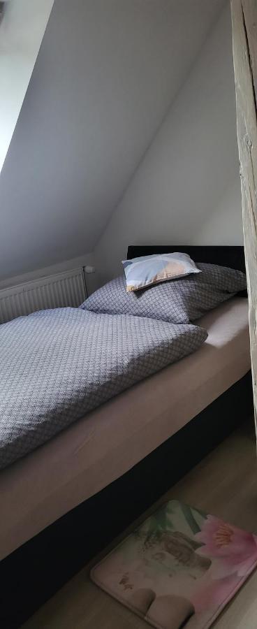 Apartman Dany Hanušovice Dış mekan fotoğraf